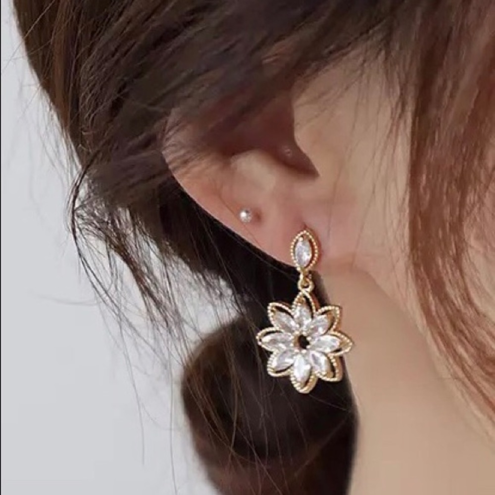 Fashion earrings